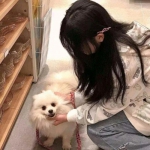 一拳定江山草鞋版